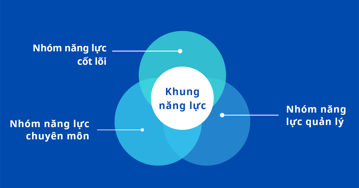 Khung năng lực gồm 3 yếu tố chính là năng lực cốt lõi, chuyên môn và khả năng quản lý